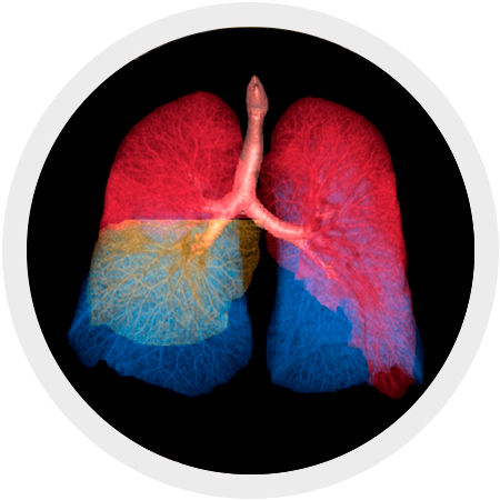 AW-Thoracic-VCAR-full-width