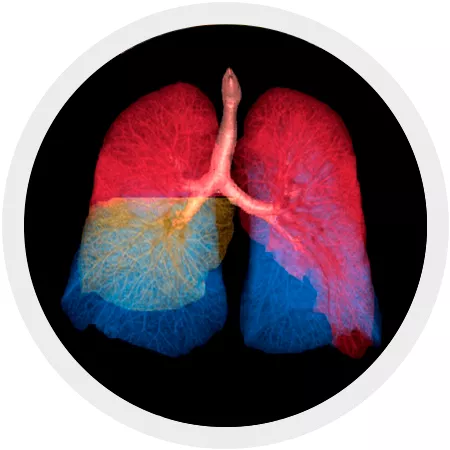 AW-Thoracic-VCAR-full-width