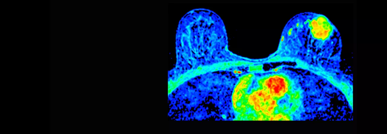 banner_Womens health_1920x665