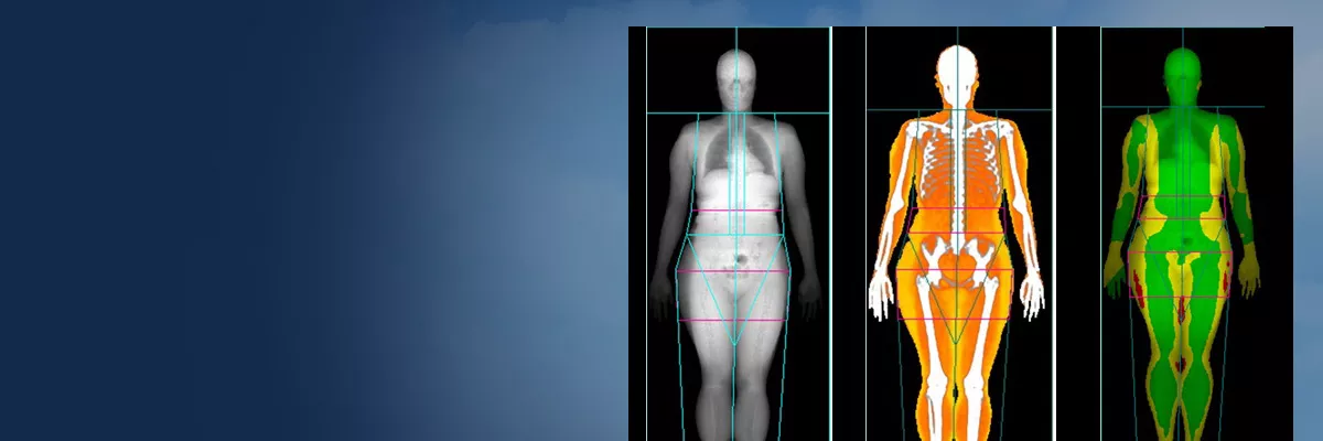 body-composition-Banner