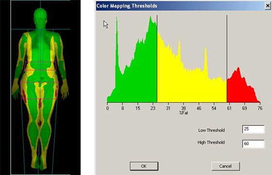 body_composition_report4