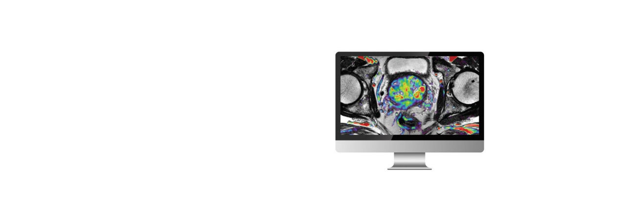 bodyview-hero-banner-ba-en