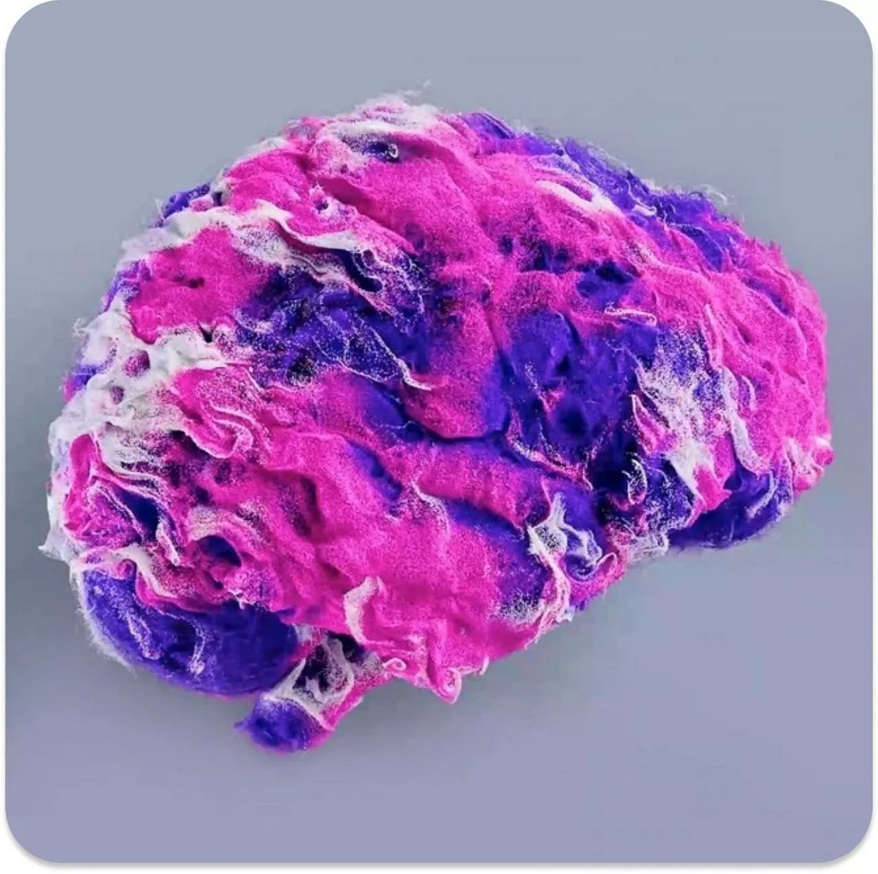 Brain ARDL copy