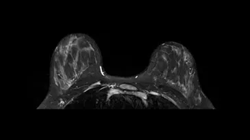 Product Media Carousel Image