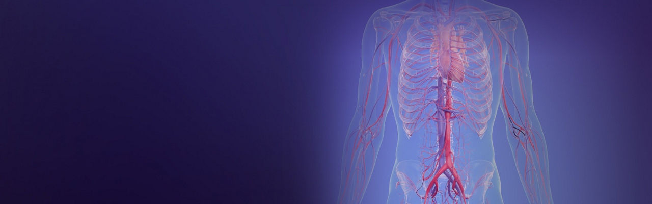 c-arms-for-office-PromoDynamicHighlight-ci-en