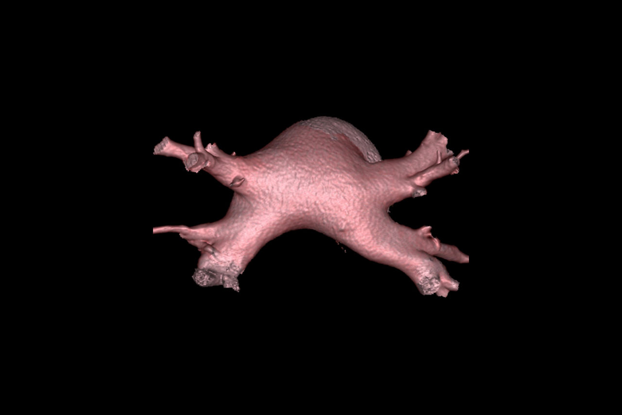 cardep-features-hero-st-en