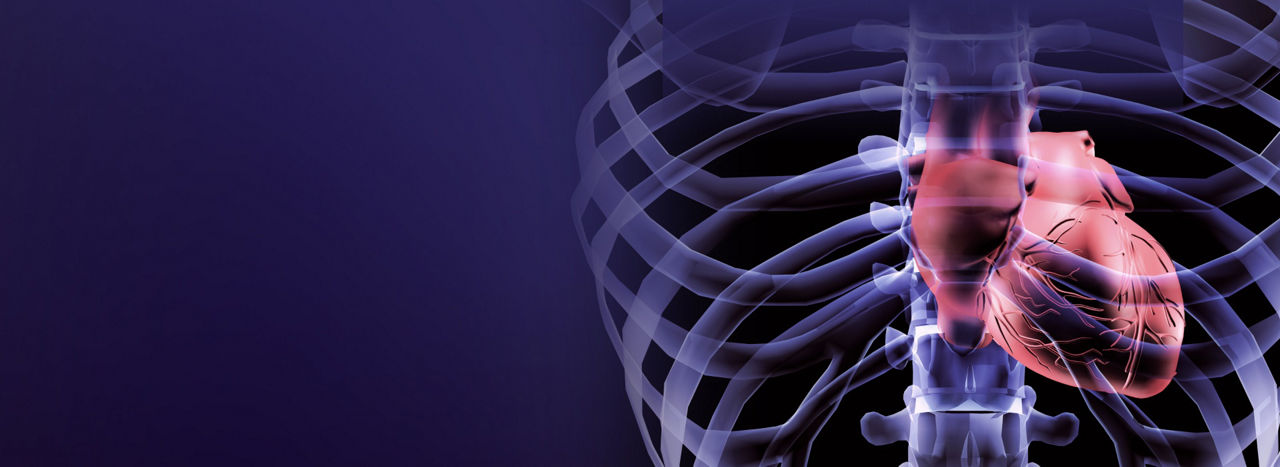 cardiac-imaging-you-need-desktop