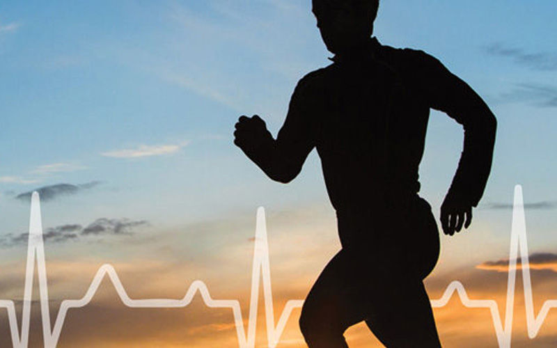 cardio-dayv25software-analysis