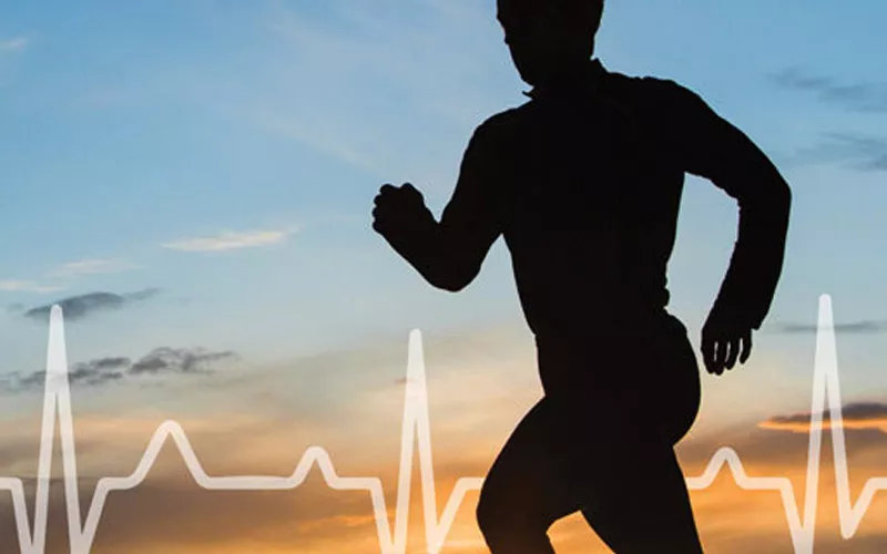 cardio-dayv25software-analysis