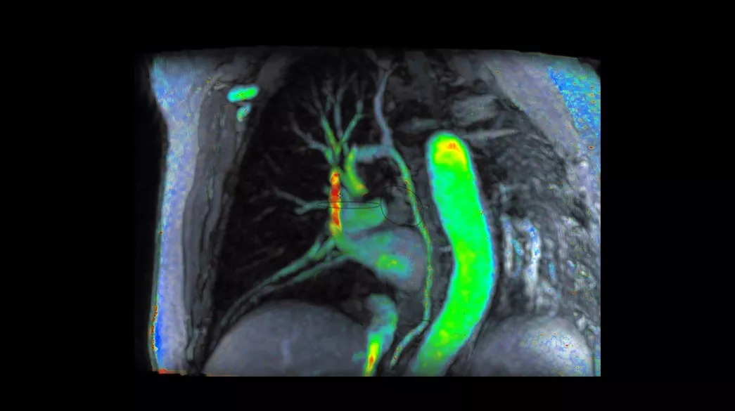 <p>ViosWorks</p>
