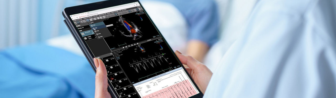 category-hero-genesis-cloud-desktop-st-en