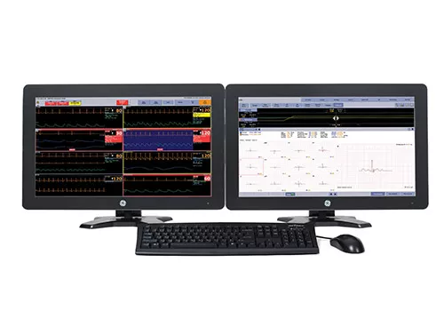 Caregivers are working with GE Healthcare CARESCAPE™ Central Station to integrate monitoring and historical data.