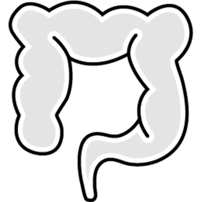 Colon Rectal