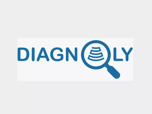 company-visual-diagnolyv2