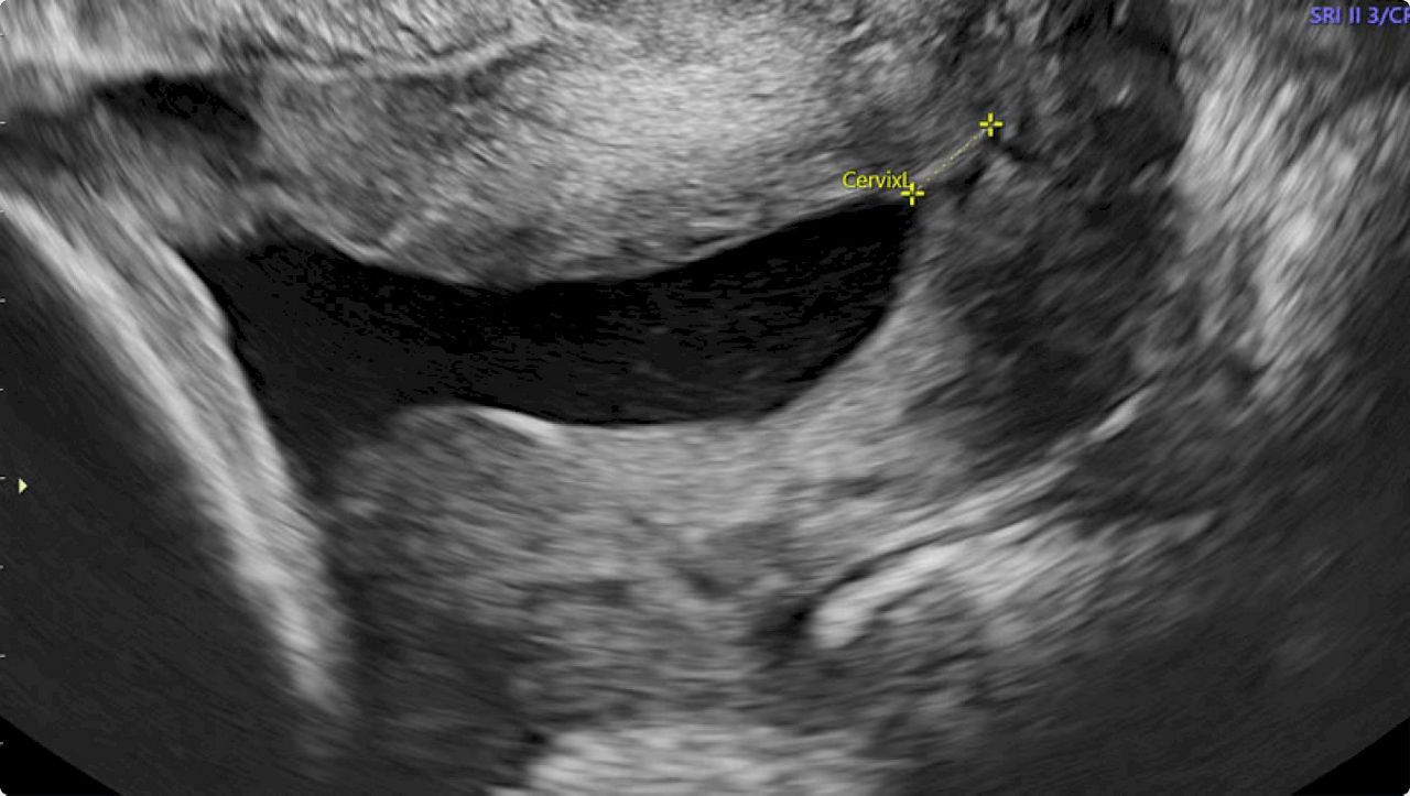 courses-ulsclubs-ci-en