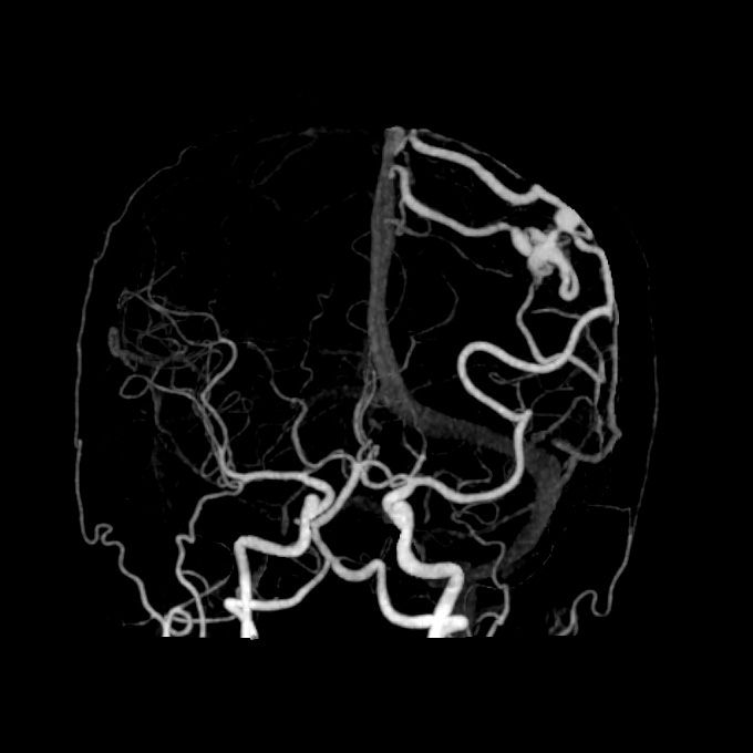 cow5