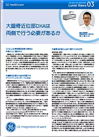 cv kamimura201701_04