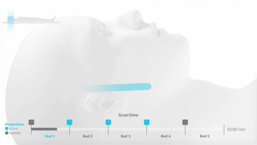 decisions-on-the-fly-ci-en