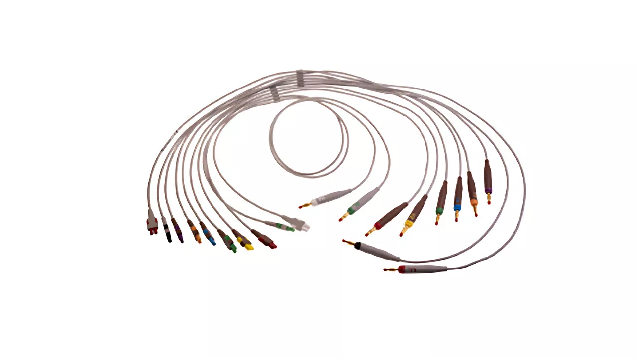 <p>ECG leadwire set, gold-plated, base 10, banana</p>

