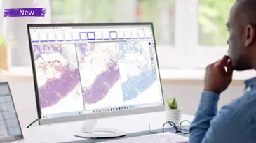 Digital Pathology
