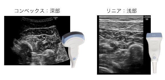 DrMatsuoQ1A