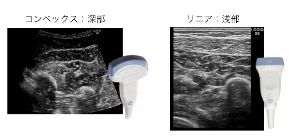 DrMatsuoQ1A
