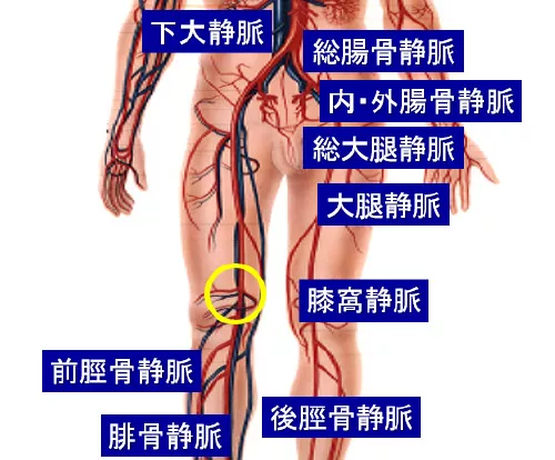DrMatsuoQ4A