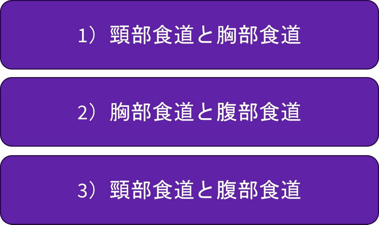 DrOgawaSyokakanQ1Q
