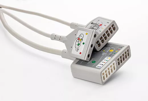 ECG IEC Trunk-0029