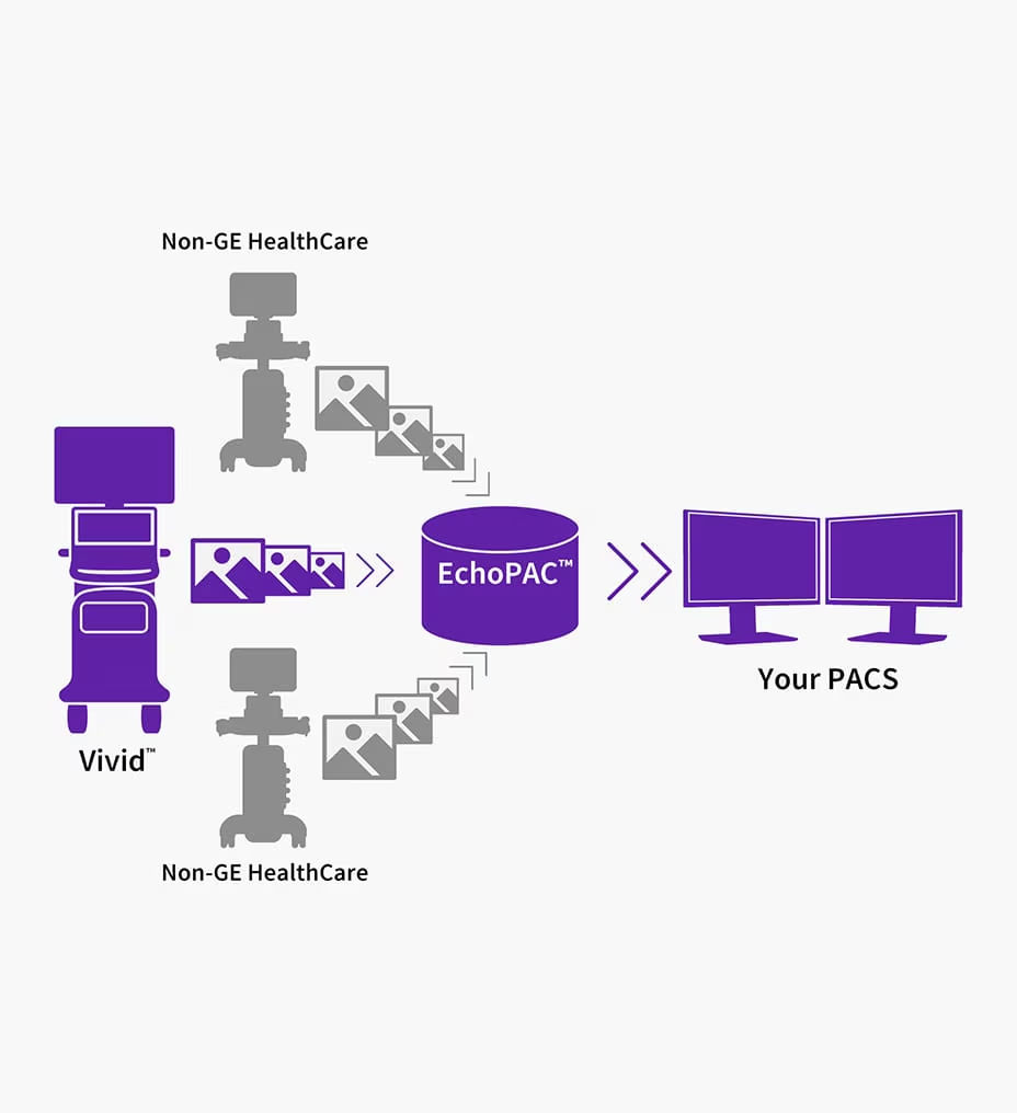 echopac-hero-sticky-multy-vendor-ba-en