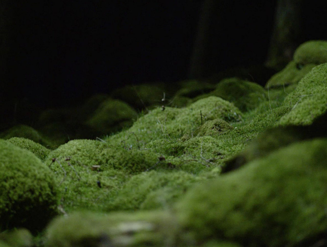 Enhanced patient experience