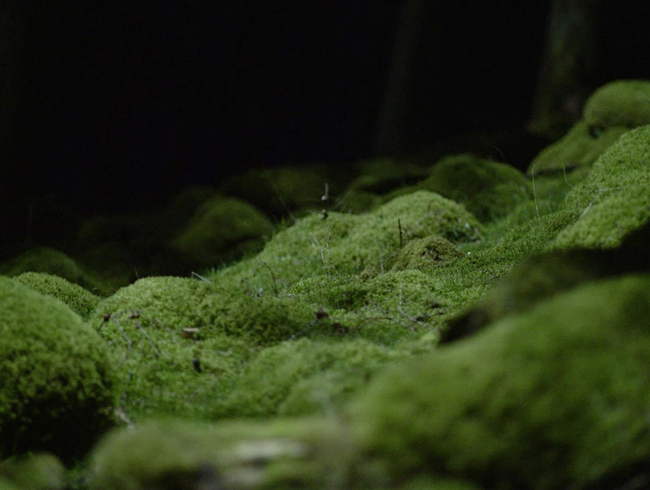 enhanced-patient-experience-st-en