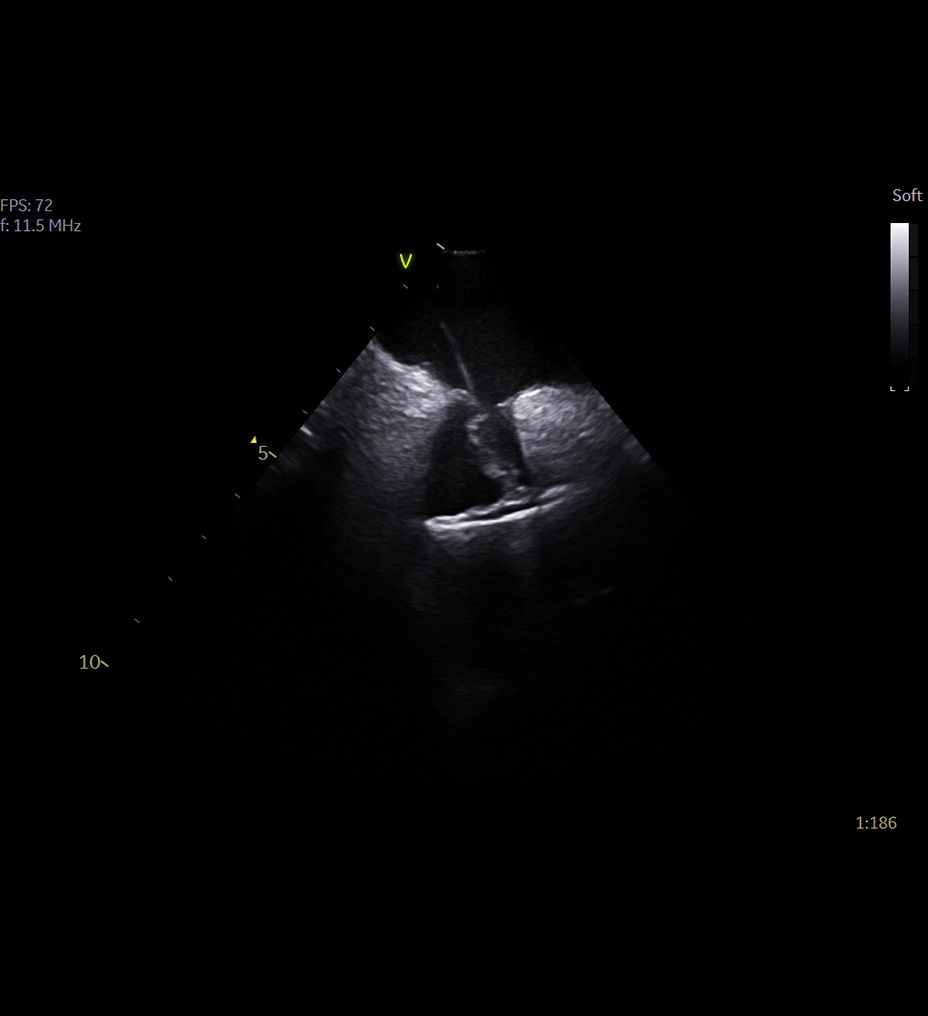 feature-hero-high-versatility-desktop-v2