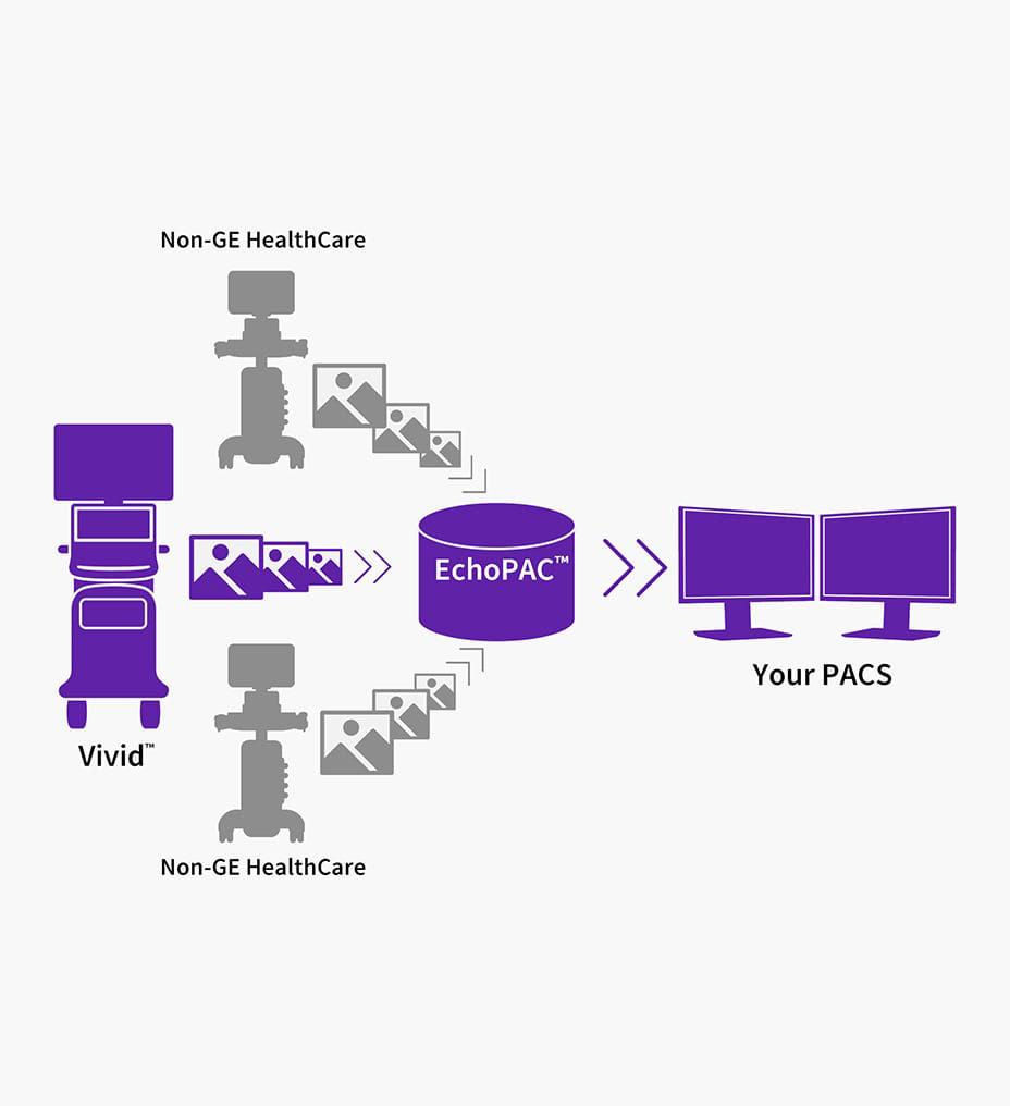 feature-hero-maximize-return-on-investment-desktop
