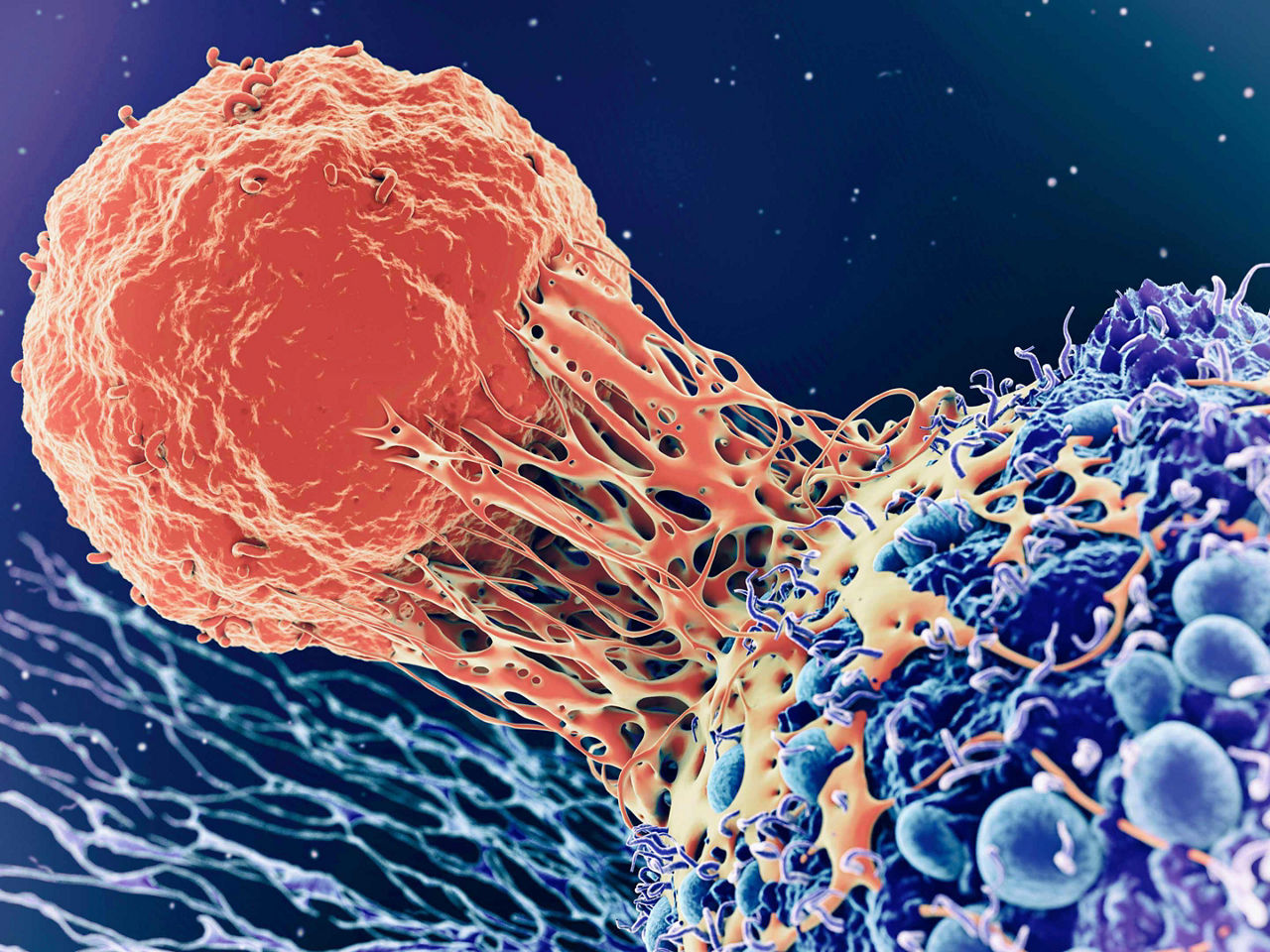 focus-and-expertise-s-curve-desktop