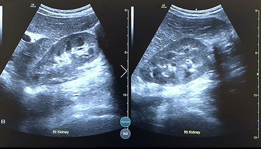 follow-up-desktop_Updated