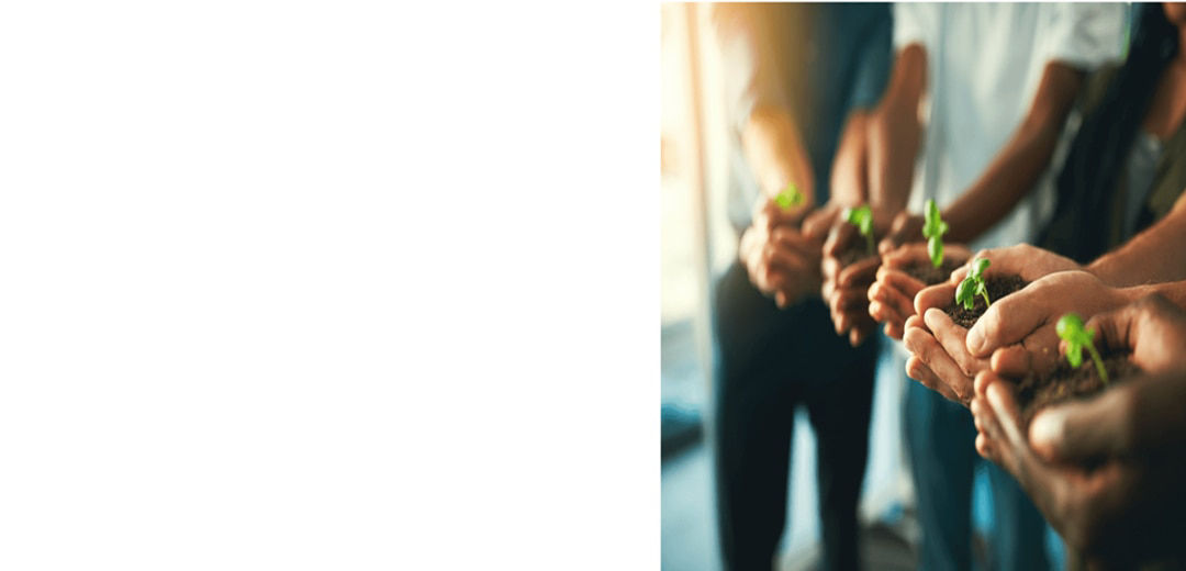 full-width-module-st-en