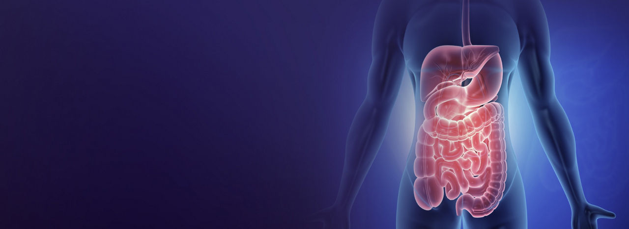 gastrointestinal-imaging-desktop