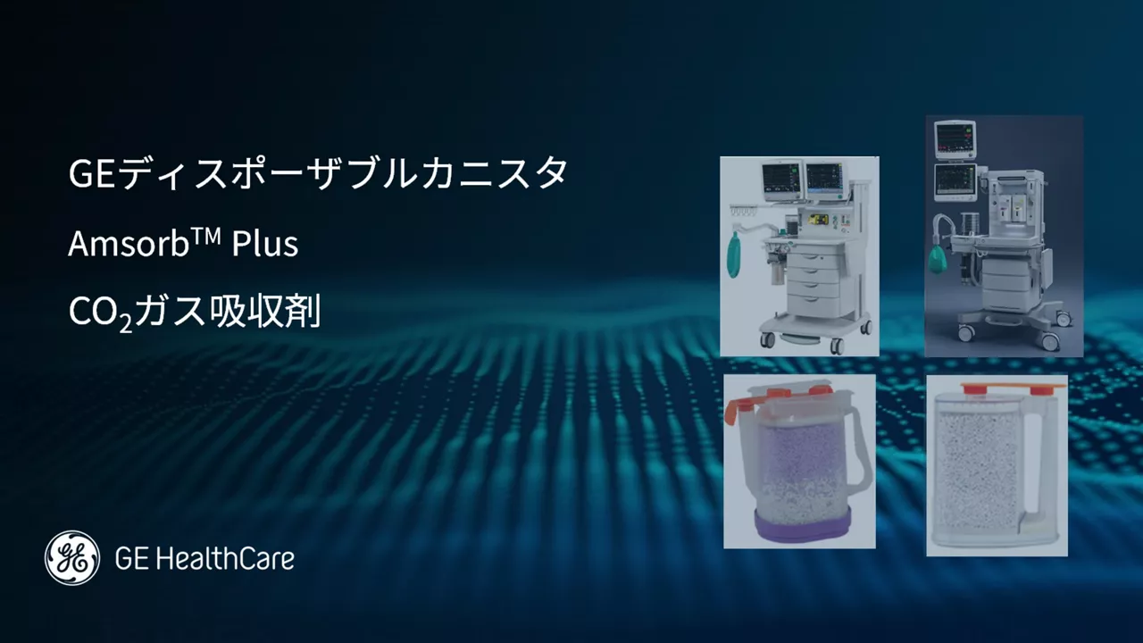 GE Amsorb plus