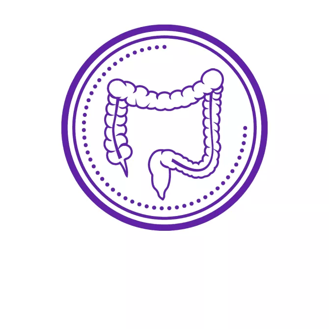 gehc-onc-intestine