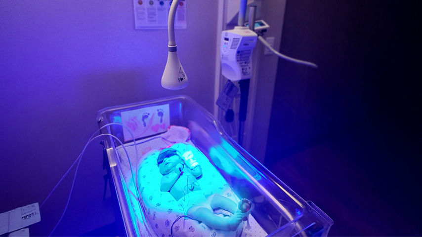 giraffe-blue-spot-FeatureCard-ci-en copy