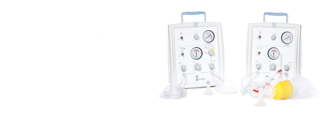 giraffe-stand-banner-ba-en