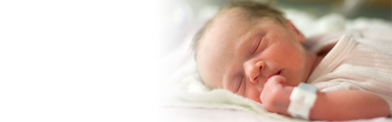 giraffe-stories-PromoDynamicHighlight-ci-en