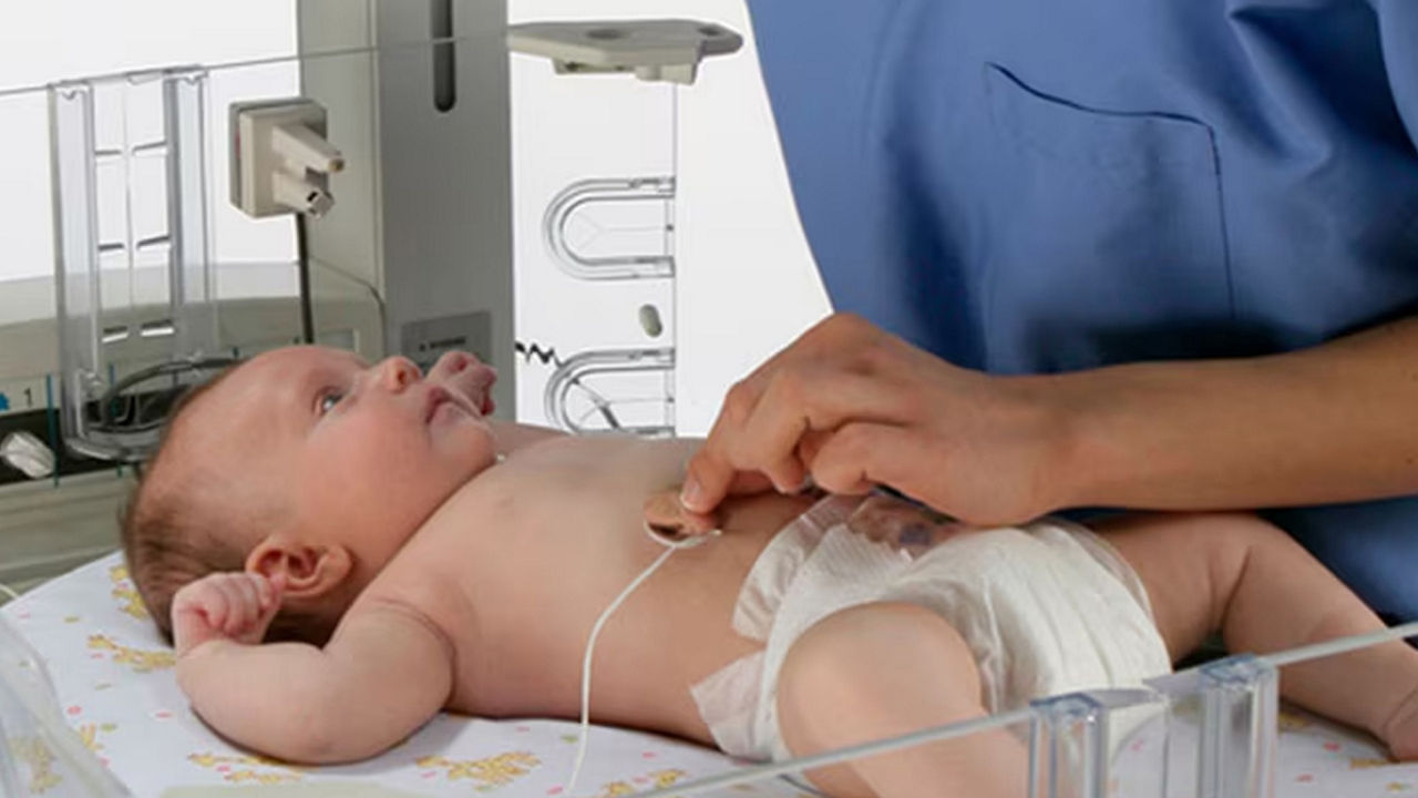 Giraffe stories-related-content