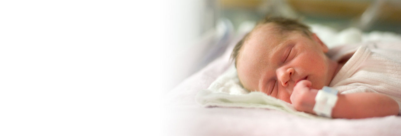 giraffe-warmer-ba-en