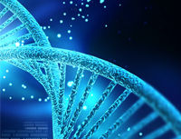 global-trends-og-image-ci-en