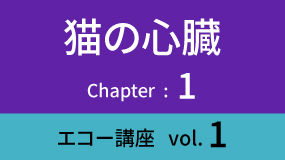 Heart-02ECHOKoza01