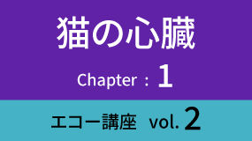 Heart-02Koza02