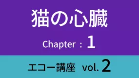 Heart-02Koza02