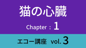 Heart-02Koza03